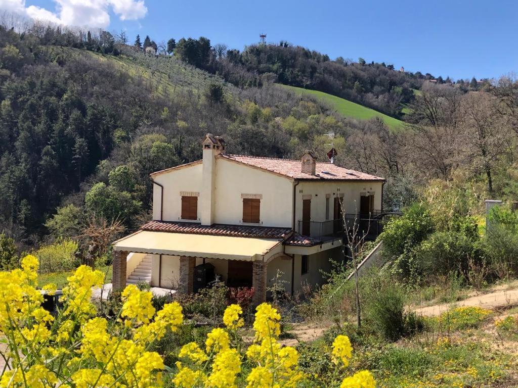 Ca'Rosei Apartman Monteciccardo Kültér fotó