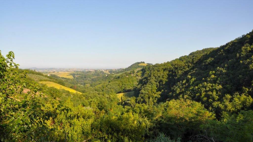 Ca'Rosei Apartman Monteciccardo Kültér fotó